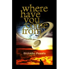 WHERE HAVE YOU COME FROM?
